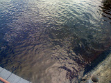 IMG_0253.JPG