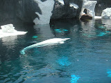 PICT0003.JPG