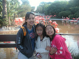 PICT0032.JPG