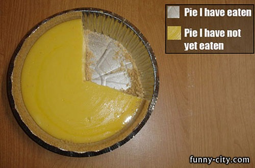 [best-pie-chart[3].jpg]