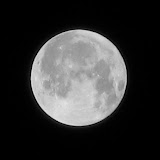 IMG_1662.JPG