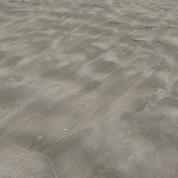 IMG_9673.JPG