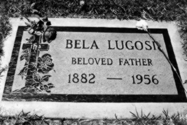 bela Lugosi grave