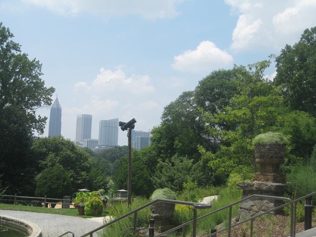 [IMG_30812.jpg]