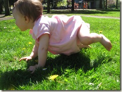 IMG_0459 IMG_0459