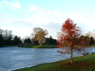 Croome park