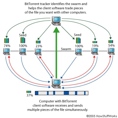 [bitTorrent1[2].jpg]