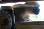  &ndash;  &ndash; 27-Okt-2009