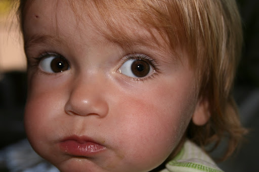 HOUSE FOR SALE IN CALGARY.