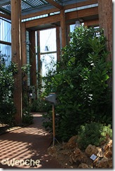 IMG_6488 IMG_6488
