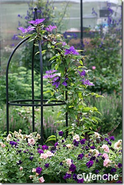 IMG_5822 IMG_5822