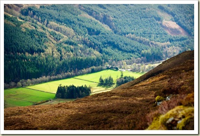 Inverbroom Estate