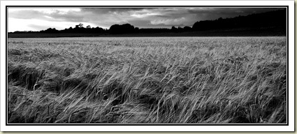 DSC_7300-Edit