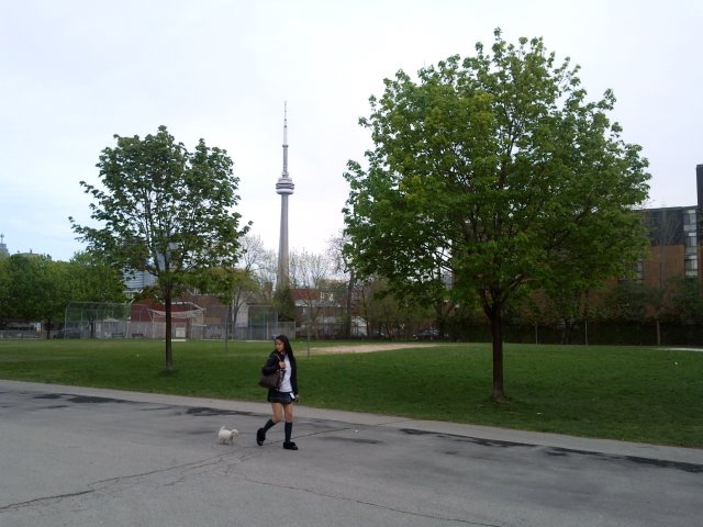 Sean Ward Toronto