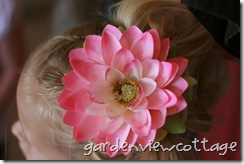 IMG_9004 IMG_9004