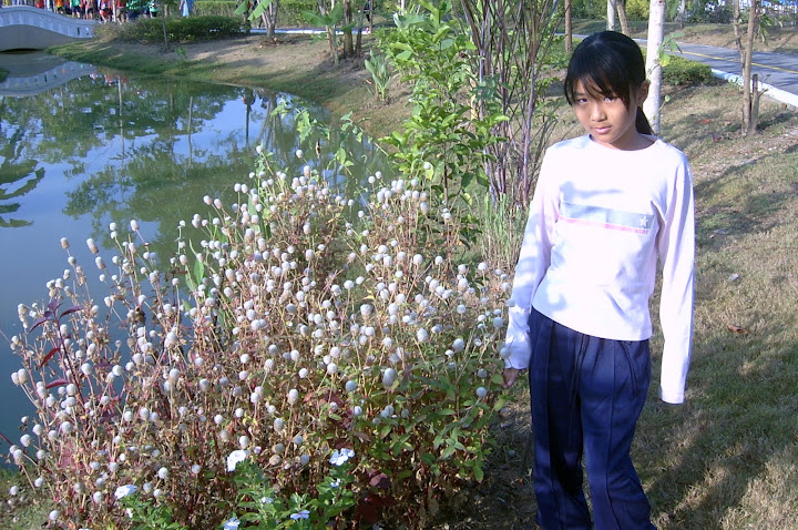รูปภาพ