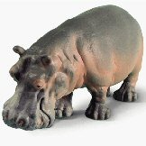[hipopotamo[2].jpg]