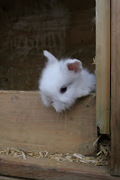 IMG_4792.JPG