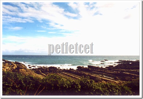 TaiTung98#16