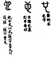 古文中的女性生殖器-也