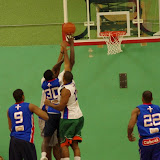 IMGP7333.JPG