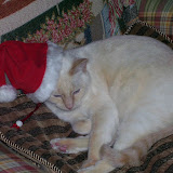2007-12-25 Christmastime