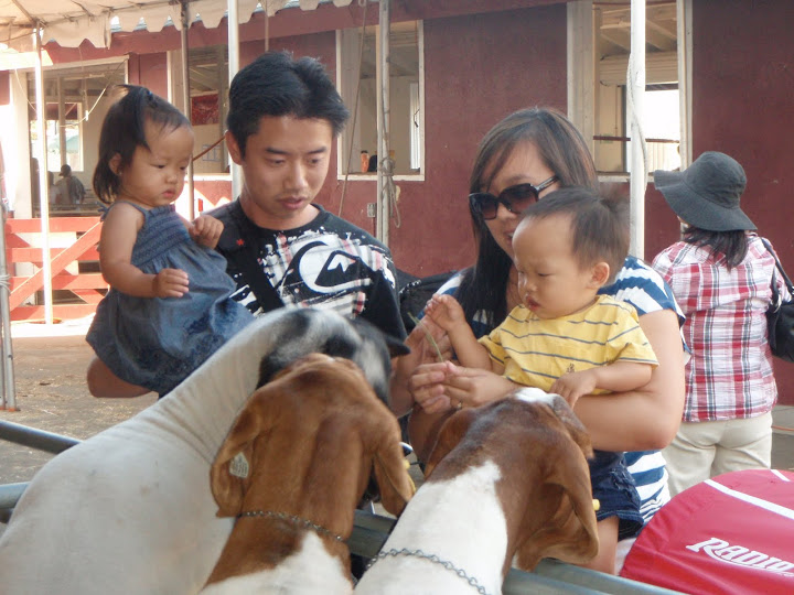 kids with animals