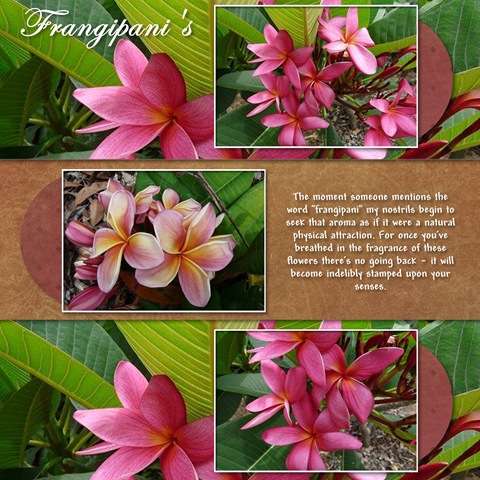 [Frangipani's - Page 063[5].jpg]