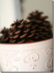 pinecones
