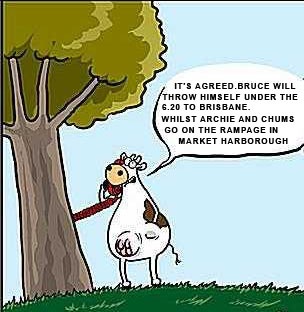 [cow_phone[4].jpg]