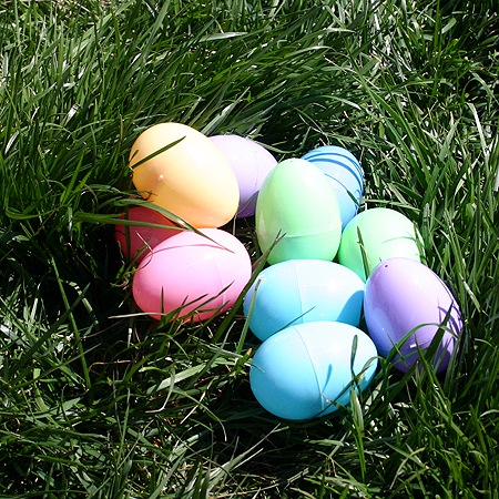[dog_eggs[3].jpg]