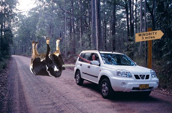 [cow_towing[6].jpg]