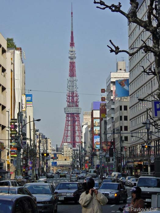 [tokyo_tower_blog[7].jpg]