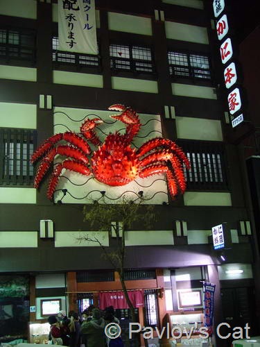 [crab[13].jpg]