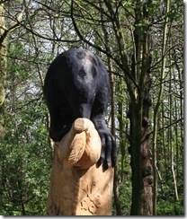 crow_2