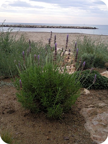 [Foto0252blog5.jpg]