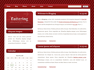 Wordpress Tube Theme