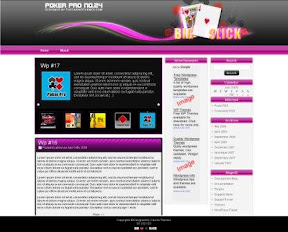 Poker Pro 24  