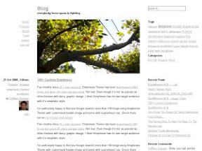Emptiness Free Wordpress Theme