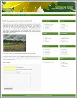WP Summer Sunflower  