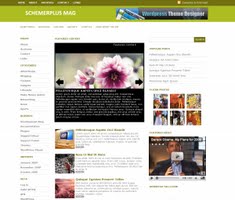 SchemerPlus Theme  