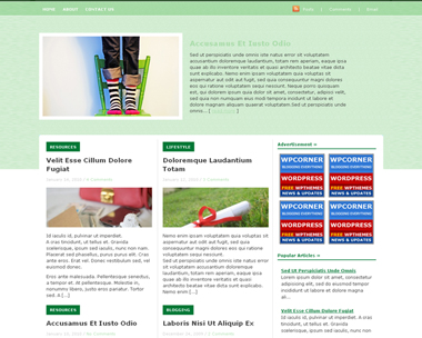 Prior Magazine Theme