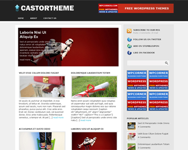 Castor Theme