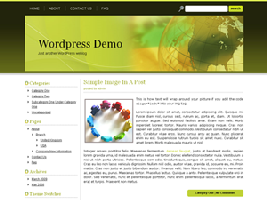 SW Business4