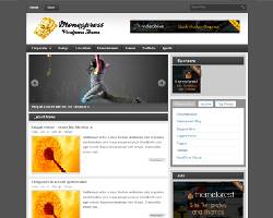 MoneyPress WordPress Theme   