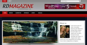 Free Wordpress Theme - RDMagazine