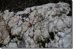 IMG_0017