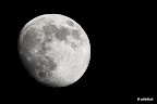 moon.jpg