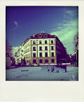 PC313809-pola.jpg