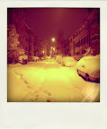 IMG_7730-pola.jpg